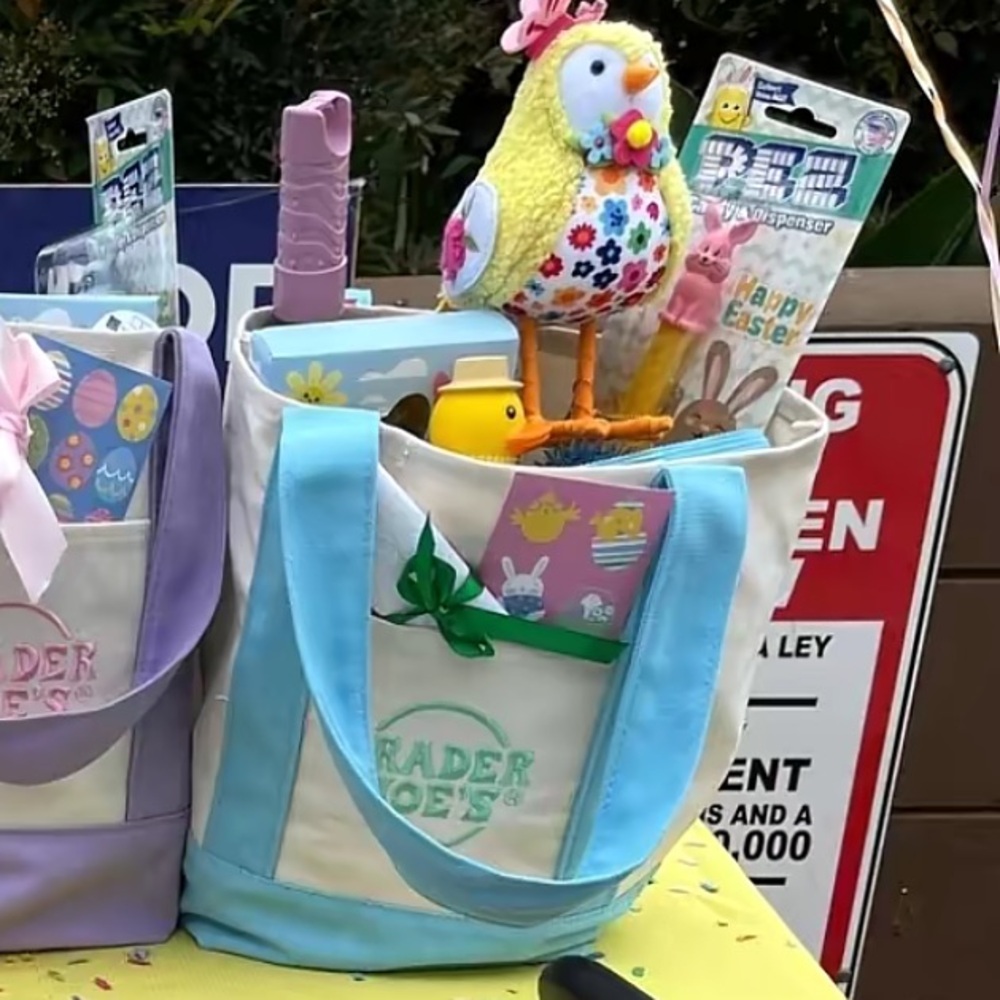 Trader Joe's Mini Tote Pastel Blue Bag🐇 - Picture 4 of 5